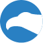 CityFALCON.ai icon