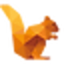 DataSquirrel.ai icon
