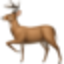 DeerFlow icon