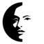 FaceFusion icon