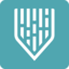 Mindgard icon