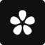 Orchid icon