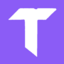 Termo icon