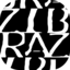 Zibra AI icon